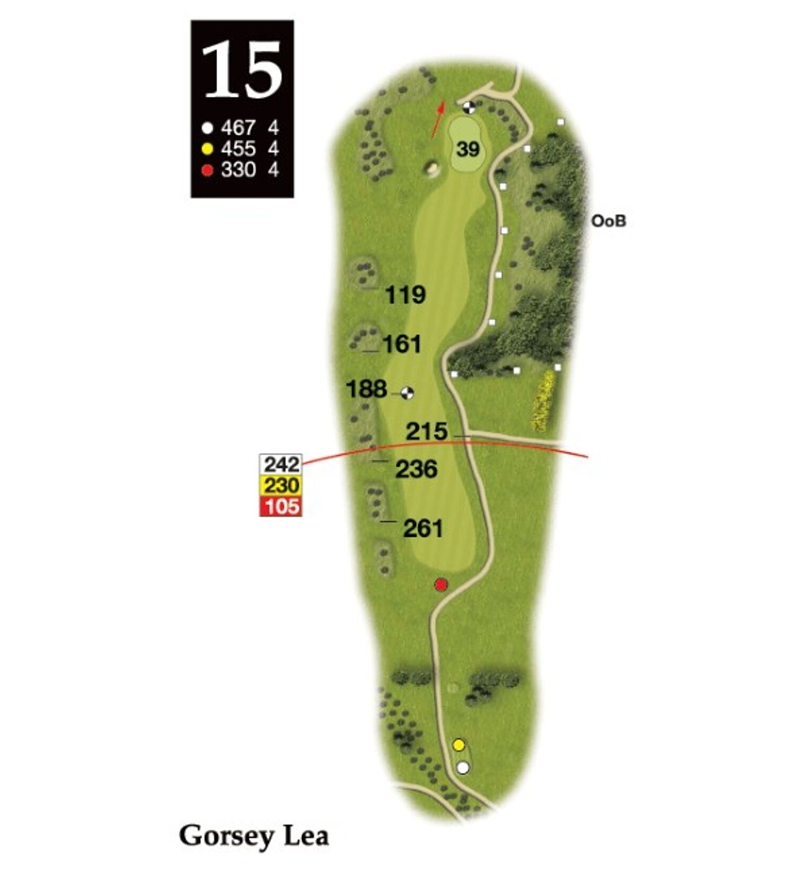 Hole 15 layout
