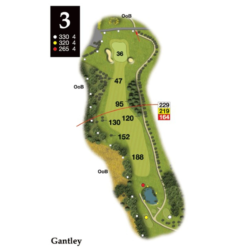 Hole 3 layout