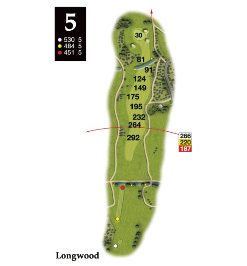 Hole 5 layout