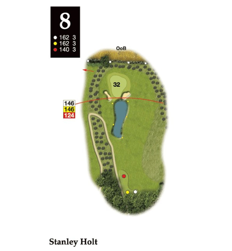 Hole 8 layout
